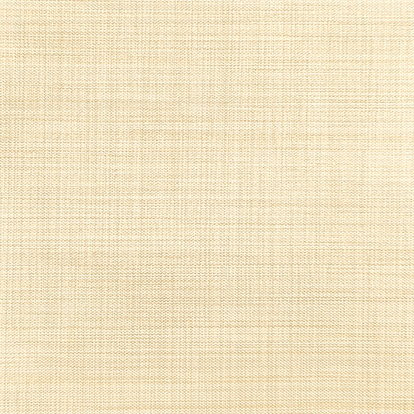 Ткань для рулонных штор Benone 7858 - изображение 1 - заказать онлайн в салоне штор Benone в Ногинске